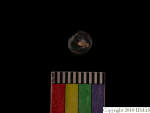 L_V22d6553 A16i8 T926 dM sh f49